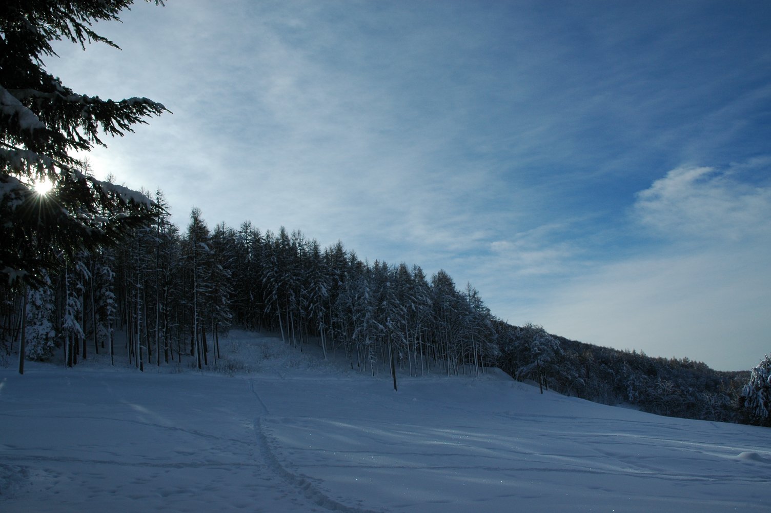 Parco Valentino al Monte Coltignone